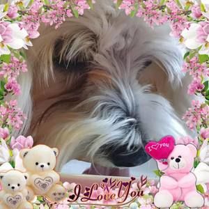 Meet your Posher, Helena